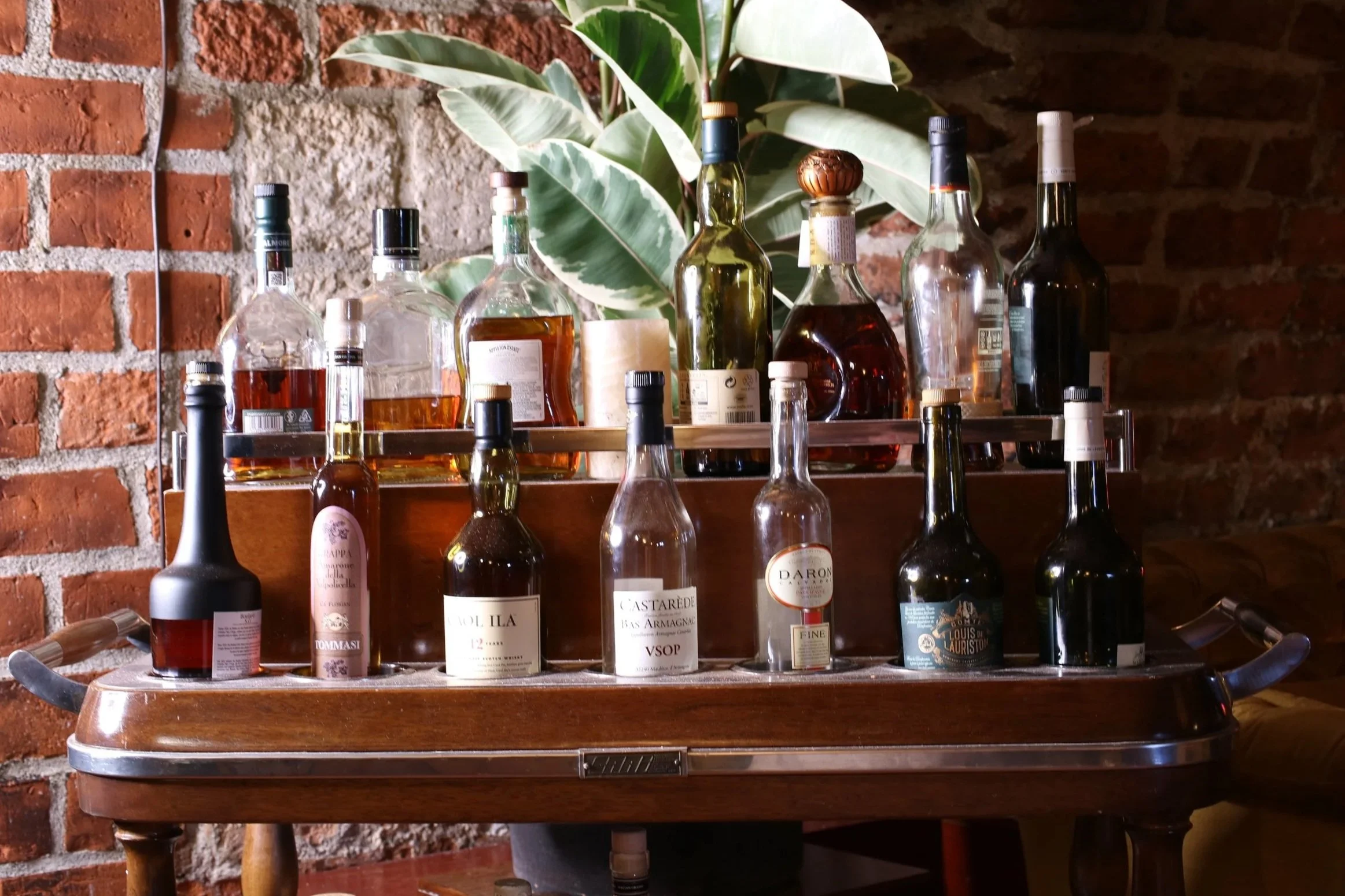Several bottles of alcohol, including whiskey and wine, are arranged on a wooden shelf against a brick wall, with a large leafy plant in the background.