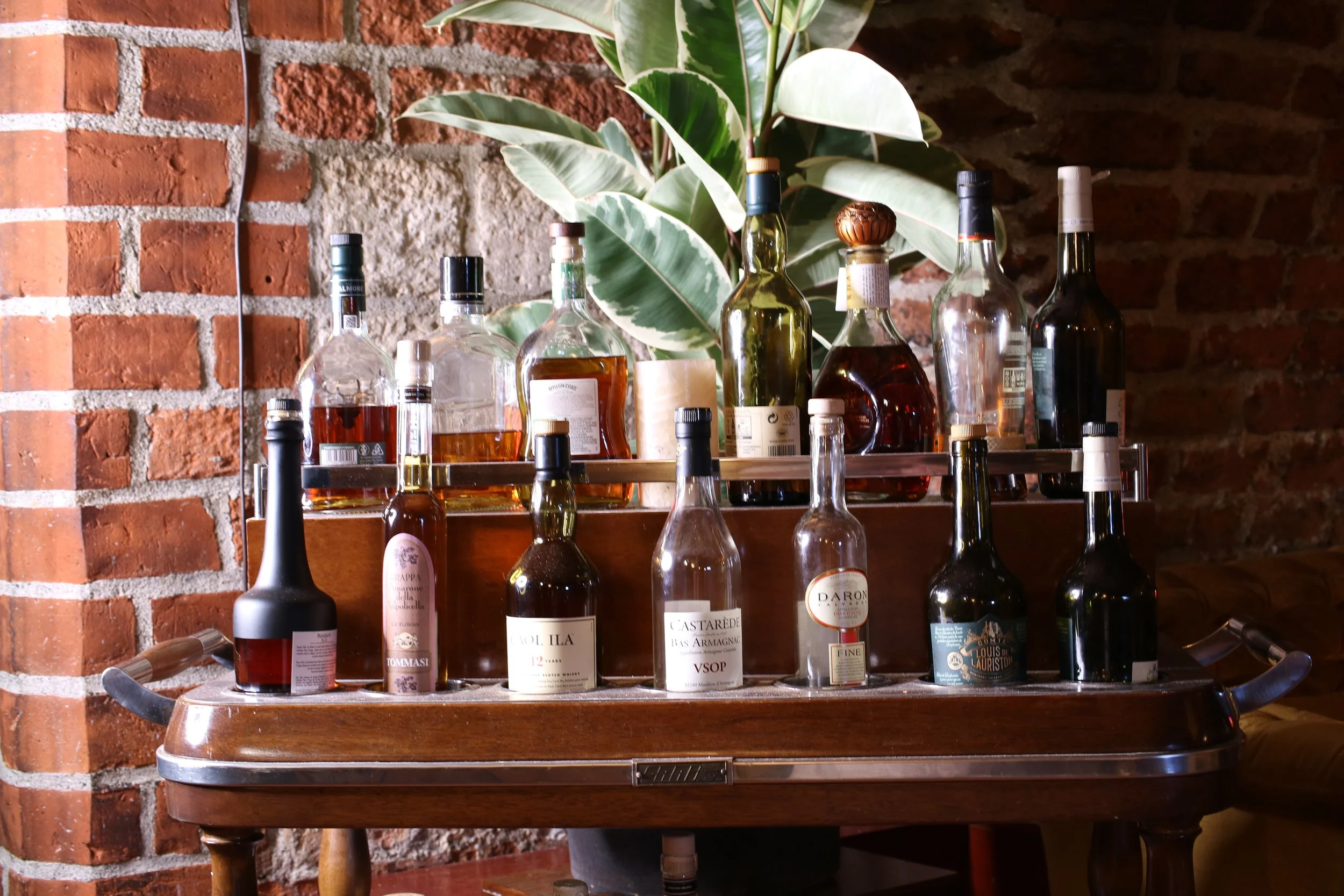 A metal cart holding various bottles of wine and a large green and white leafy plant against a brick wall background.