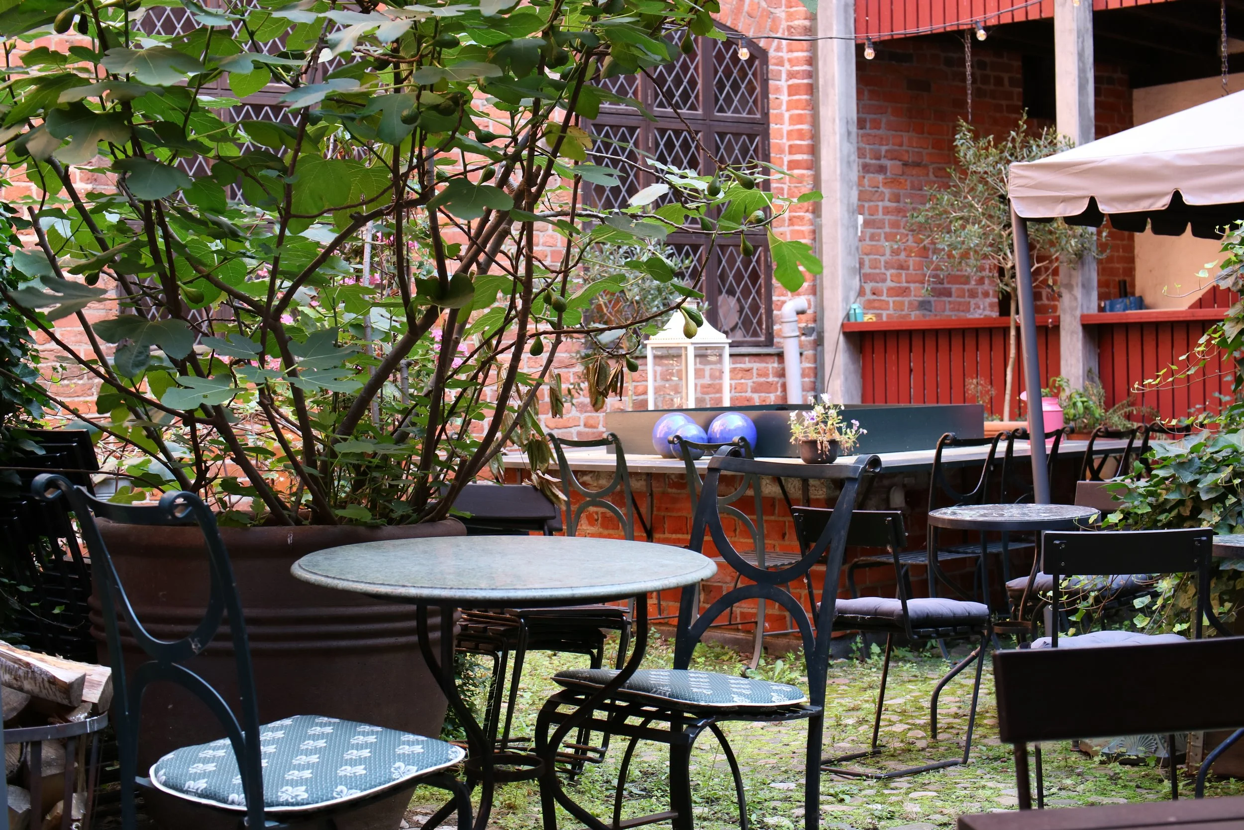 An outdoor patio scene with round tables and chairs, a large potted plant, a brick building in the background, and a beige umbrella on the right.