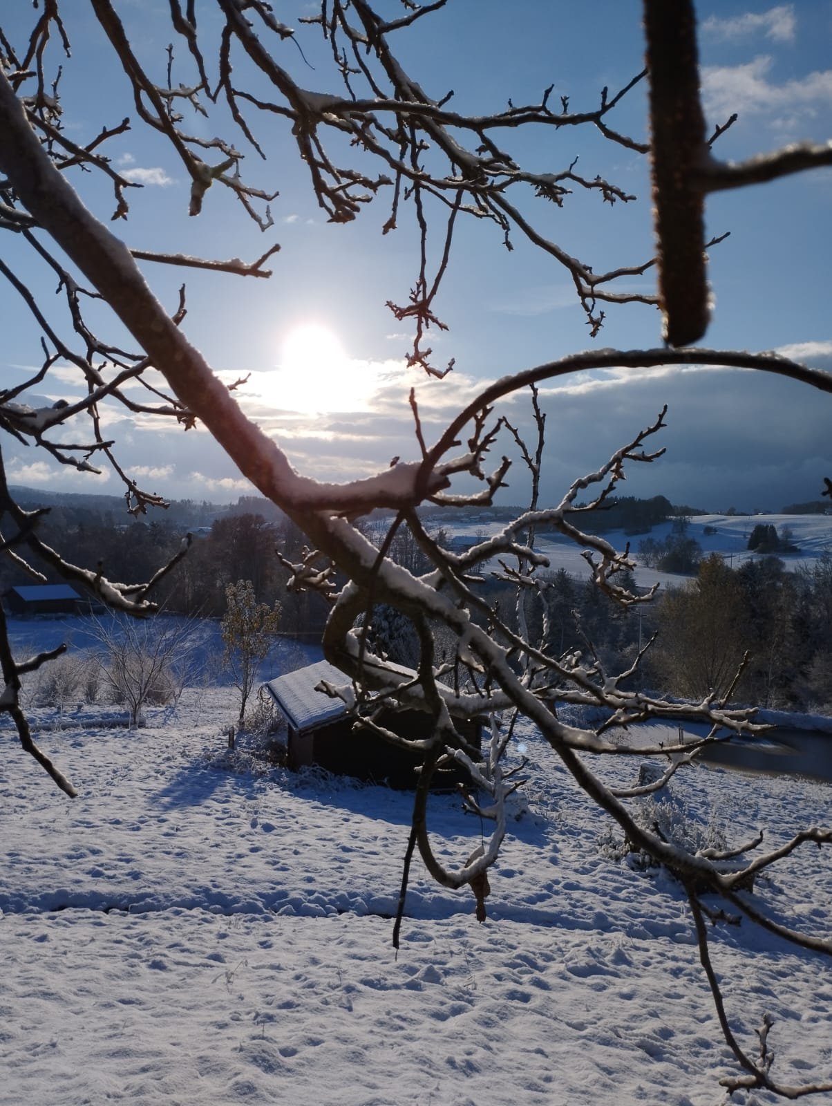 Blick auf verschneite Landschaft mit Baum, Schnee bedeckter Garten und Hügel im Hintergrund bei Sonnenlicht.