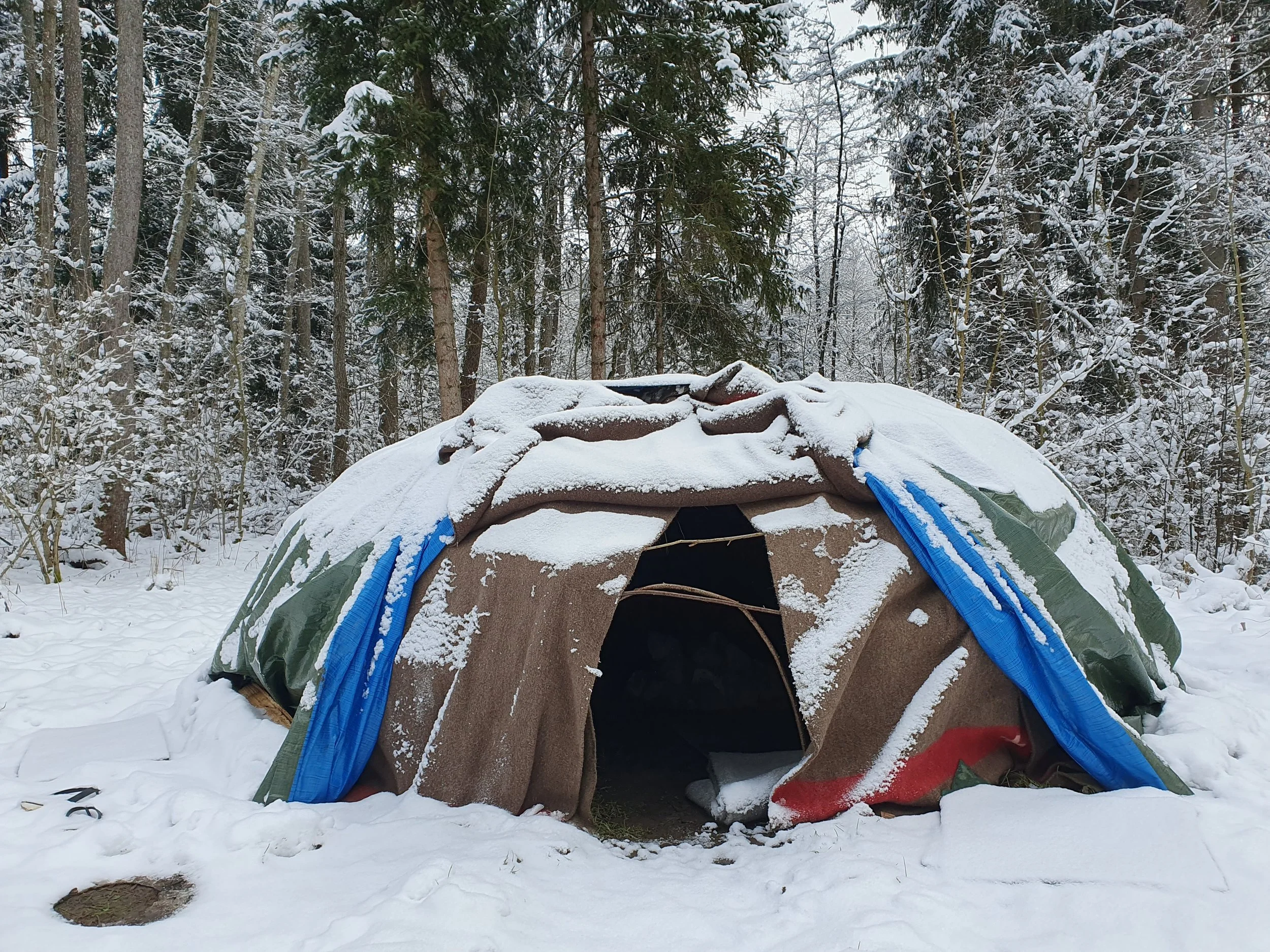 Eine schneebedeckte Schwitzhütte im Wald mit Bäumen im Hintergrund.