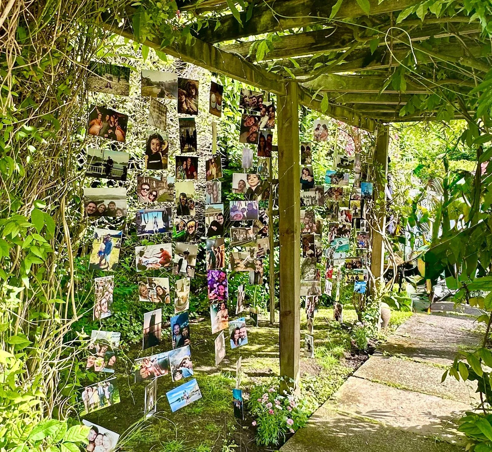 The Several Lives Within the Gallery Wall