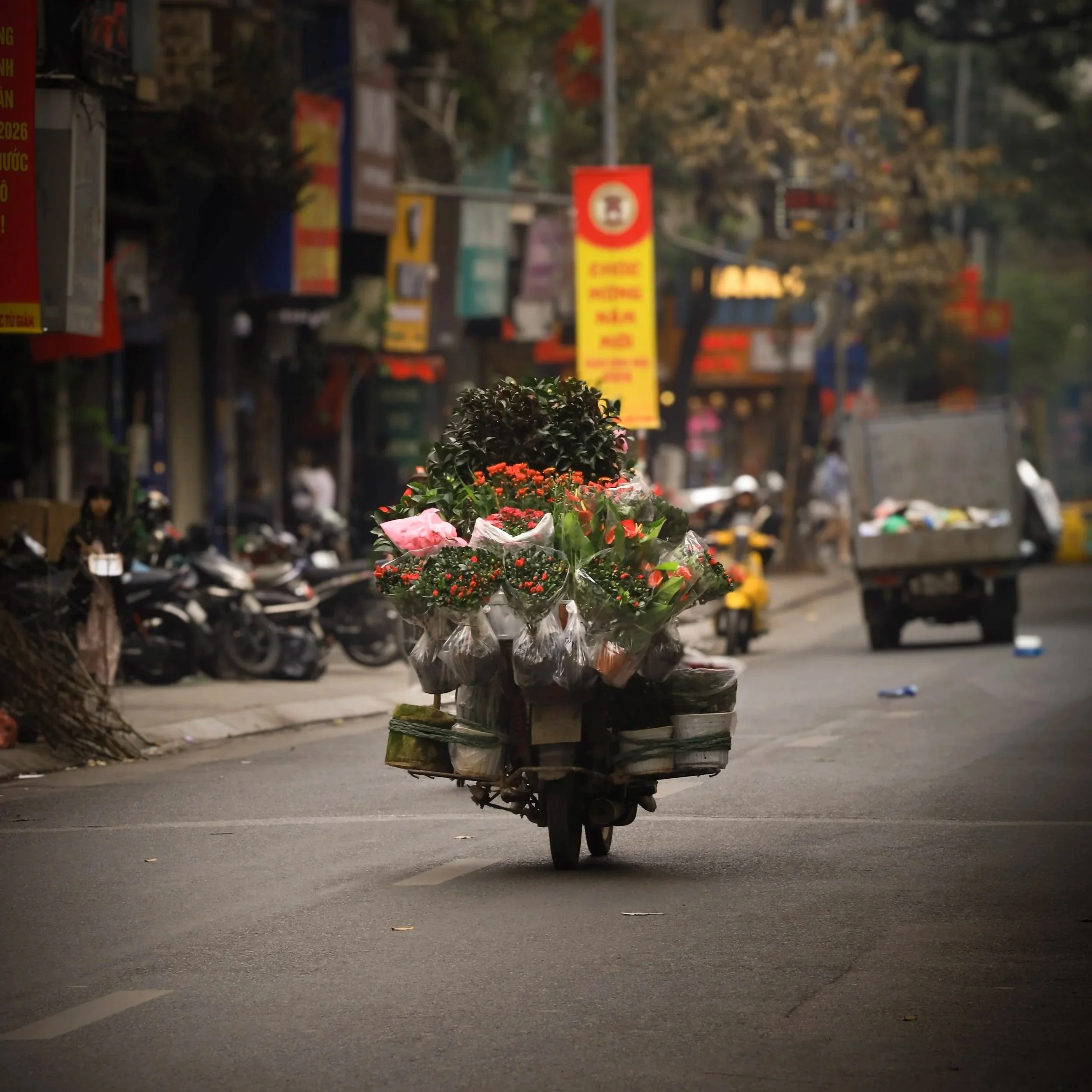 Dear Vietnam