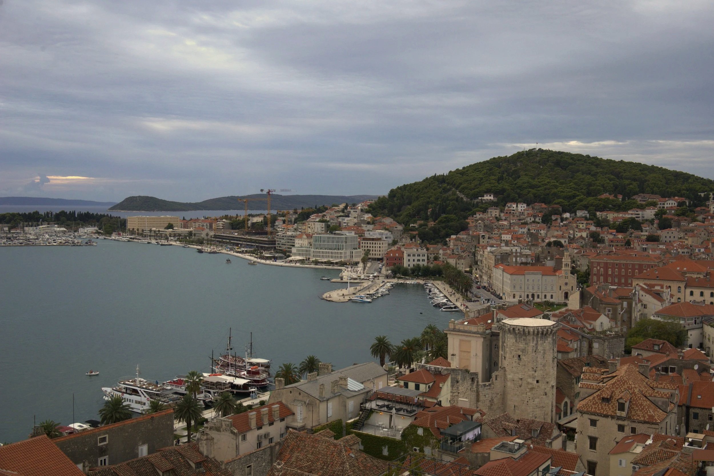 IMG_2627.jpg