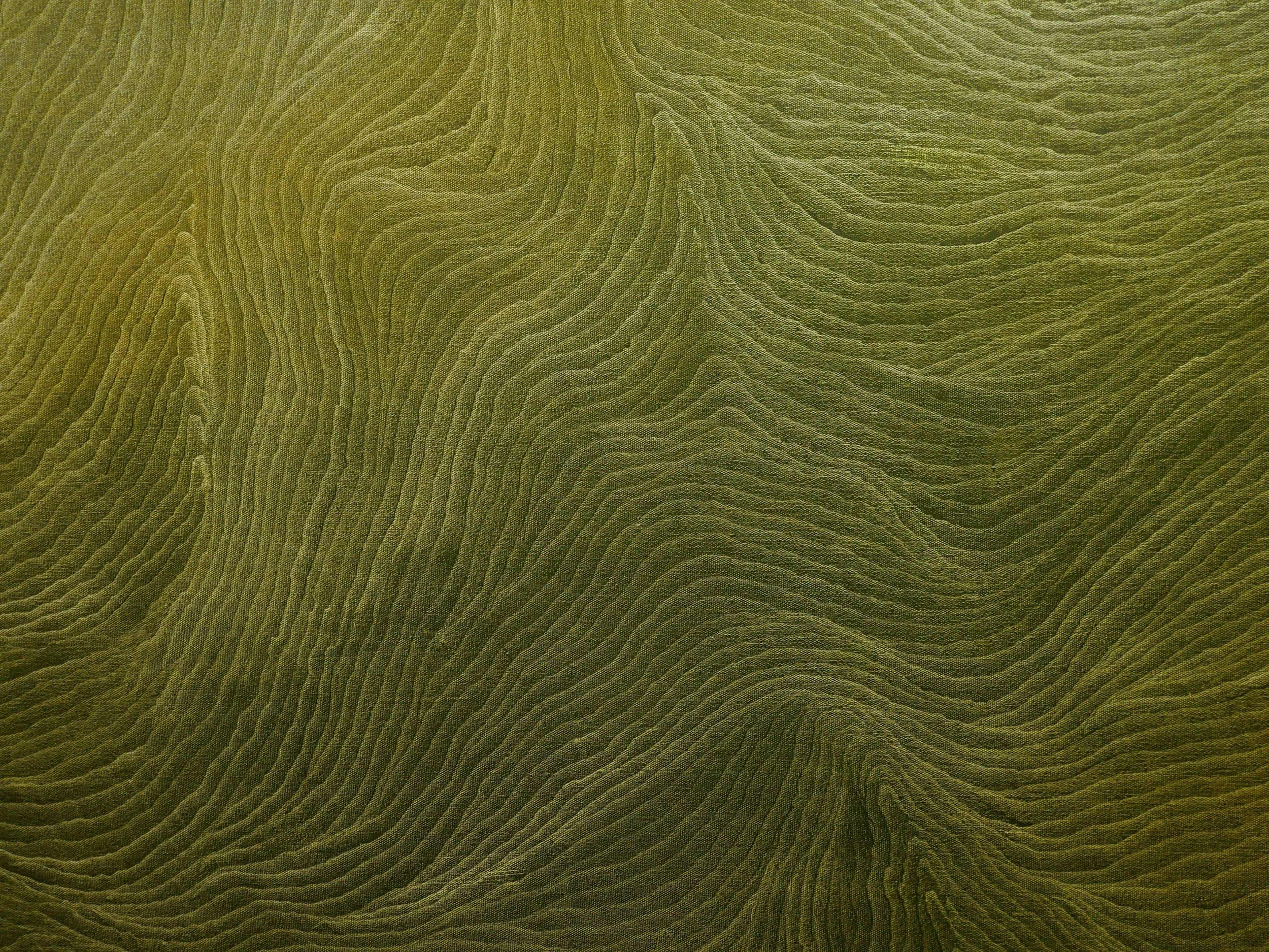 Prato verde con un motivo di linee ondulate e irregolari