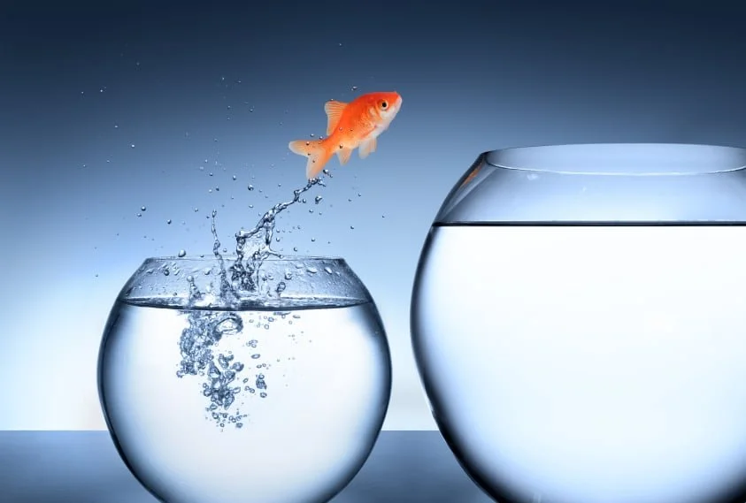 10 Key Thoughts to Maximize Your Sales