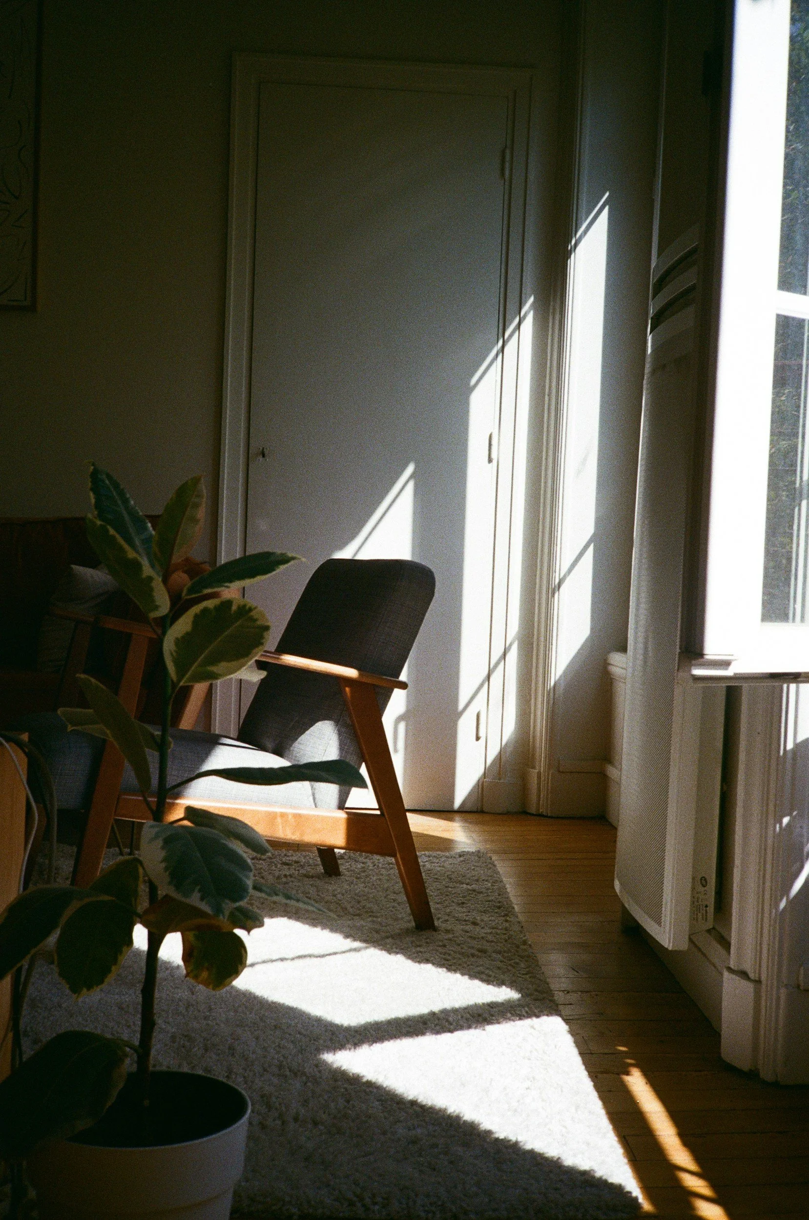 Sunlight streaming through a window illuminates a white door, shadows cast diagonally across the wall and floor, with part of a houseplant and a gray chair visible.