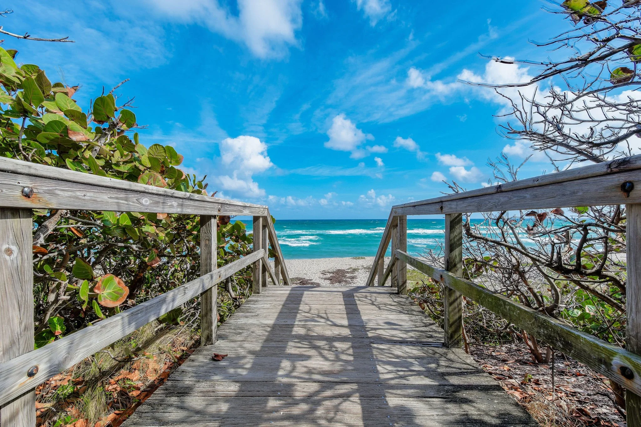 Jupiter Beach Walkover