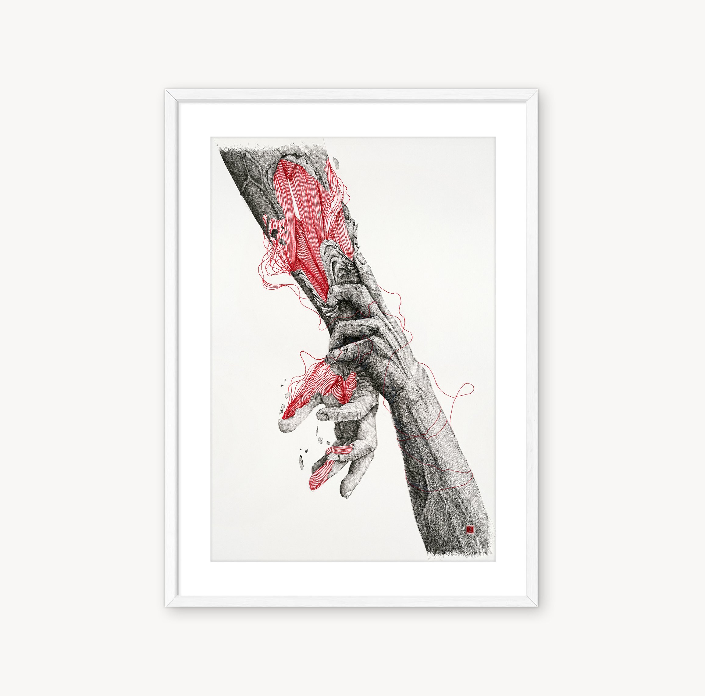 écorché n°06 (original)