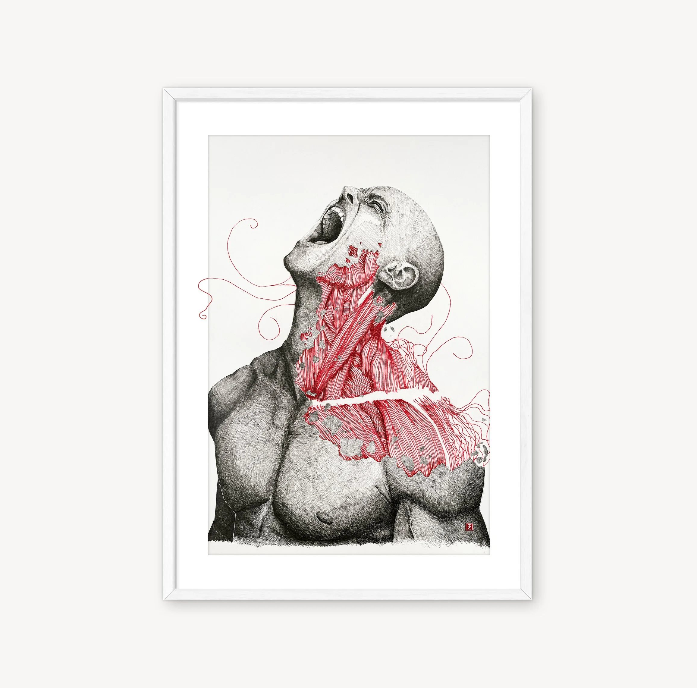 écorché N°02 (original)