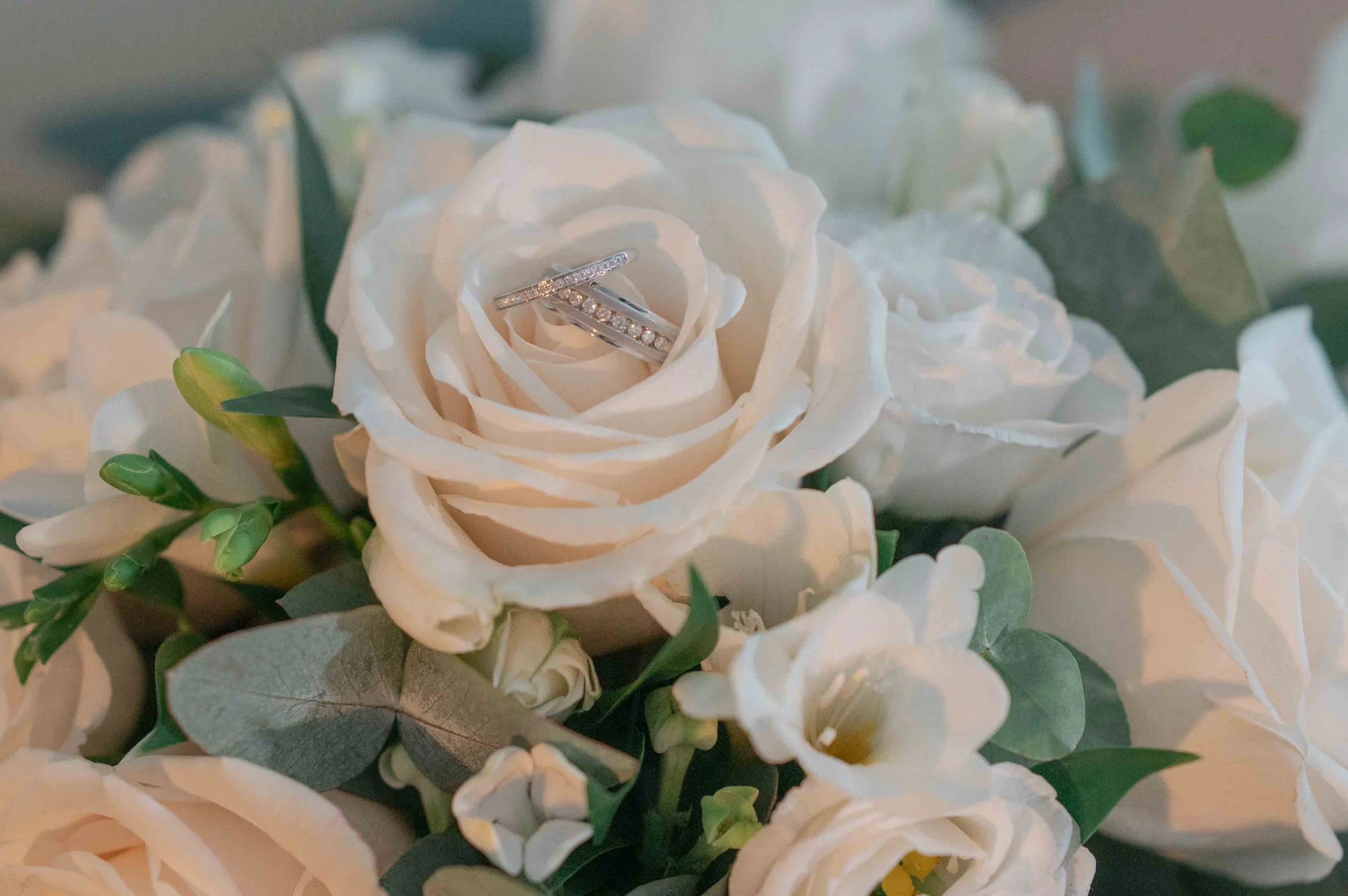 Carmen Sherred Photography-58.jpg