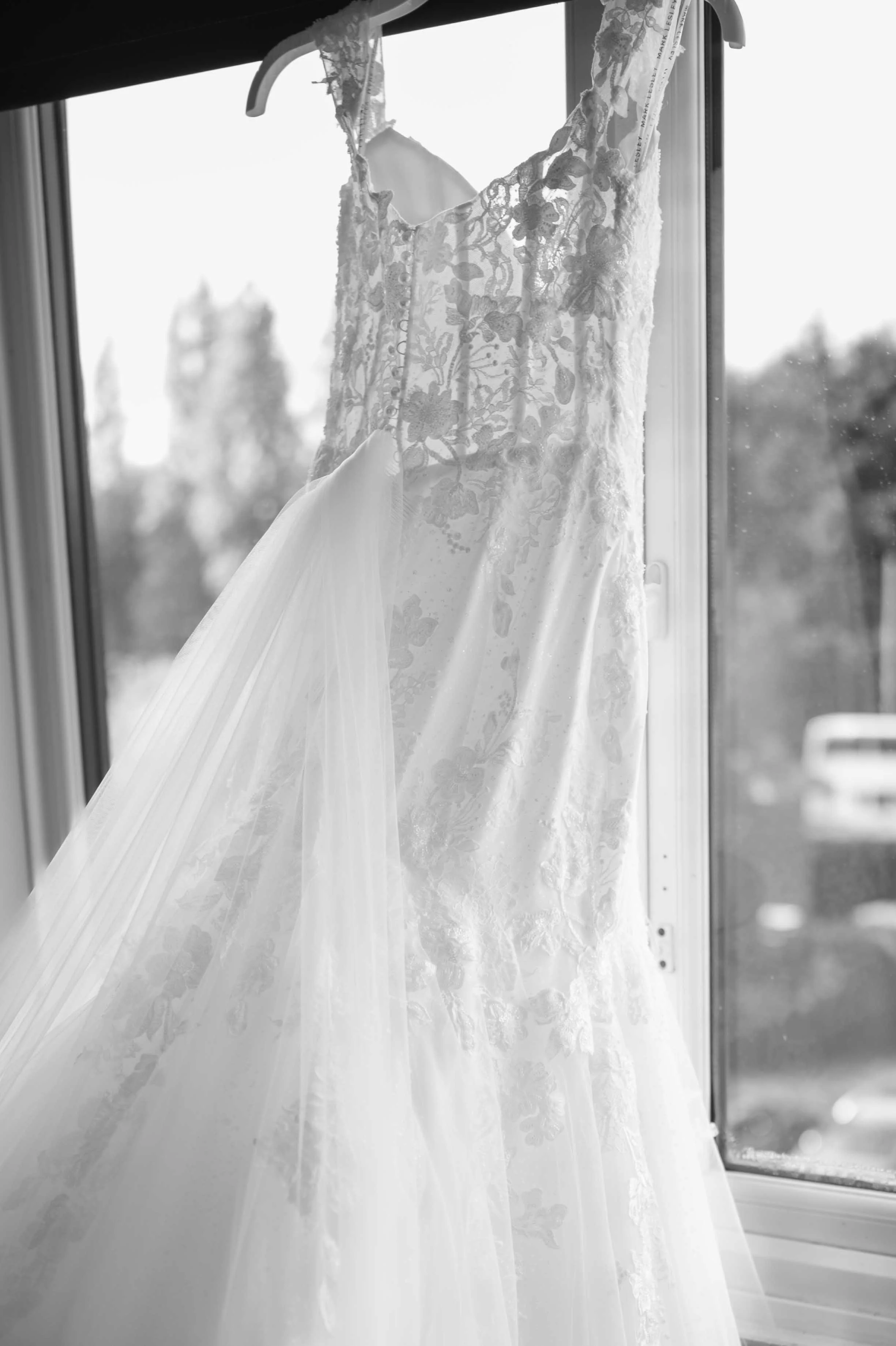 Carmen Sherred Photography-7.jpg