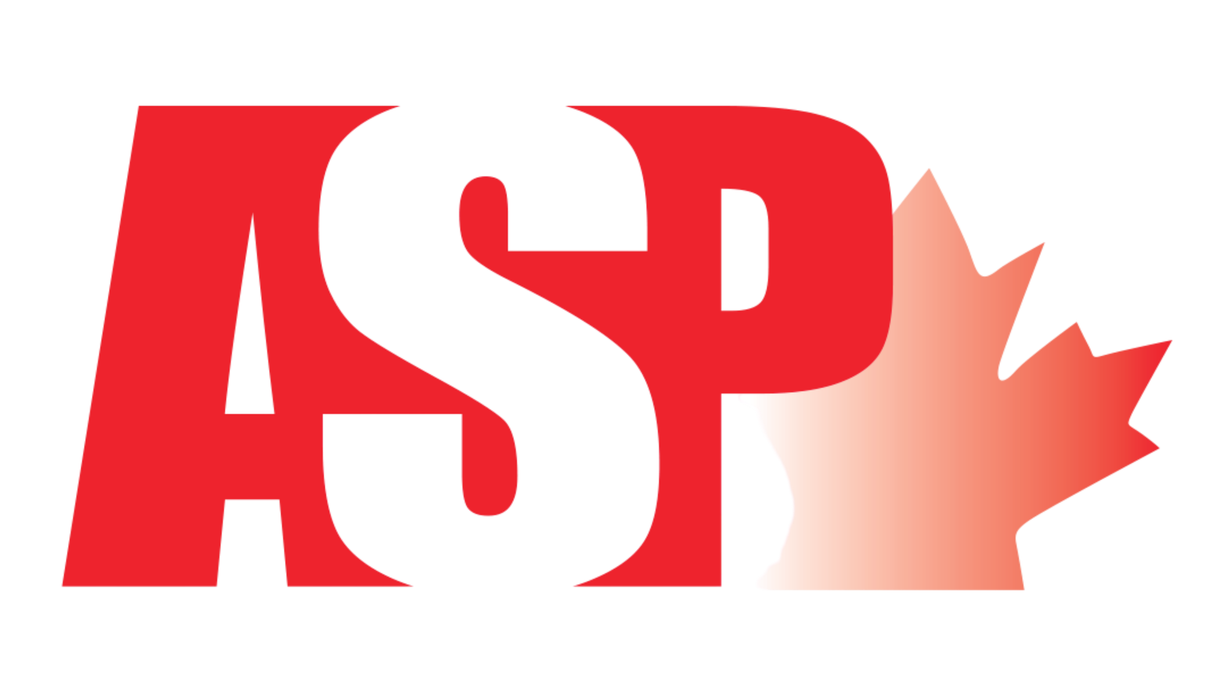 11.png
