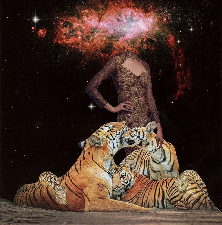 Anais Strickling-Tiger-Low Res.jpg
