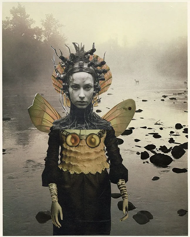 Anais Strickling-Collage 6-Low Res.jpg