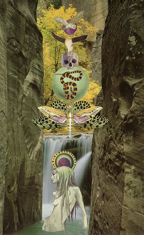 A surreal collage of various elements set in a canyon with a waterfall, including a bird, a deer skull, a snake, a butterfly, a woman with long hair, and abstract artistic shapes.