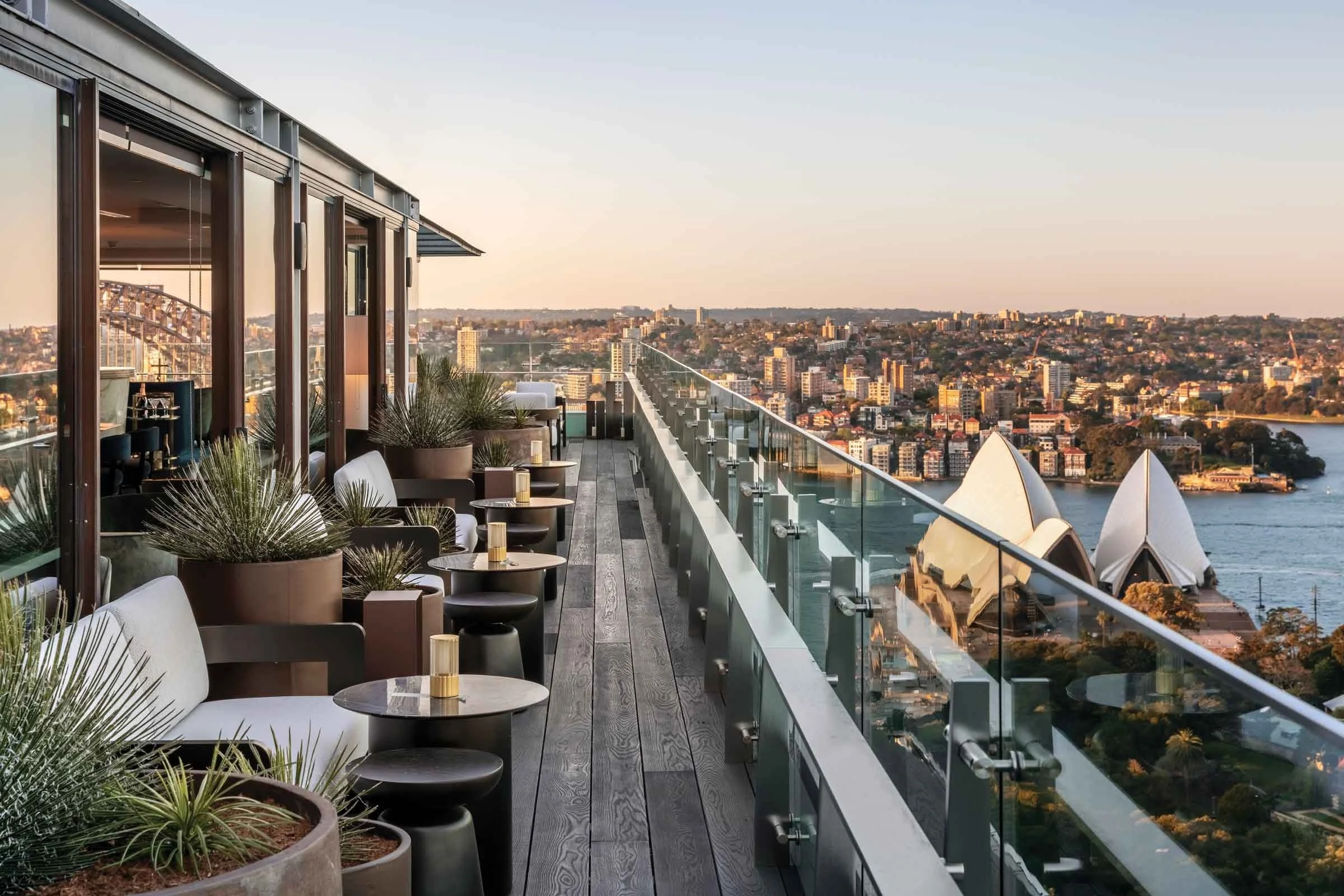 ©+ADAM+ROBINSON+DESIGN+landscape+designer+Sydney+BANNER+02.jpg