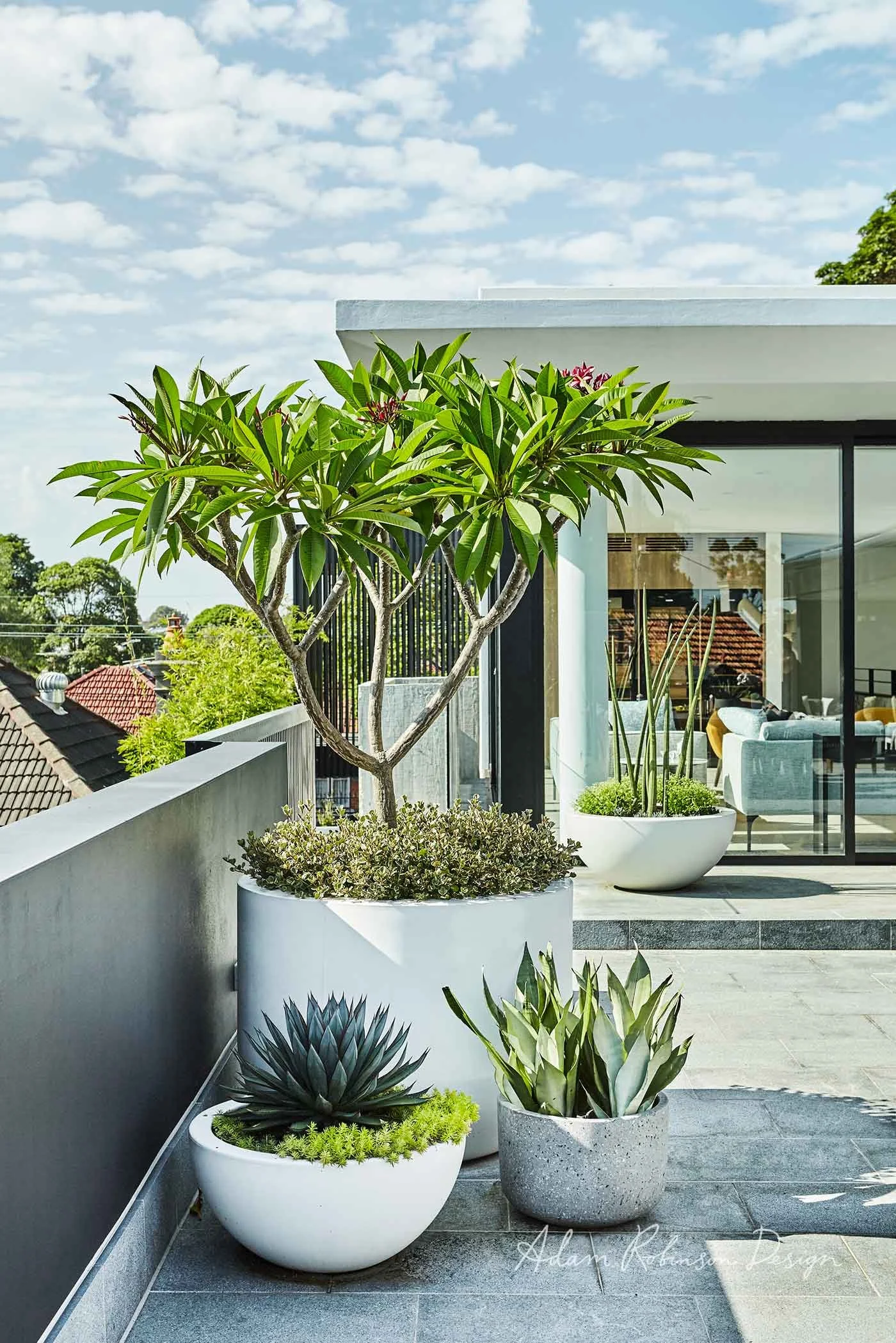 ©-Adam-Robinson-Design-Landscape-Design-Project-08-Leichhardt-05.jpg