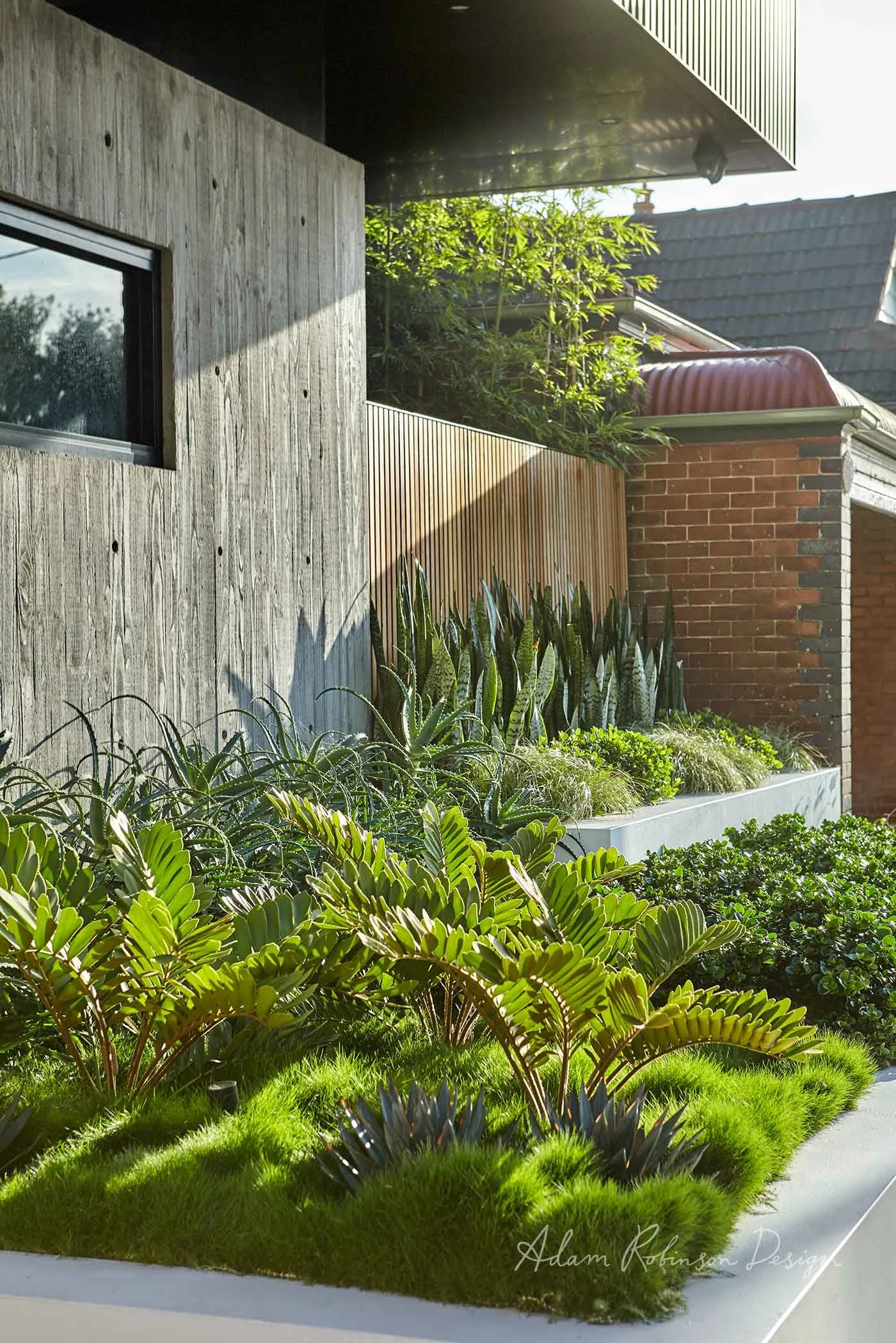 ©-Adam-Robinson-Design-Landscape-Design-Project-08-Leichhardt-08.jpg