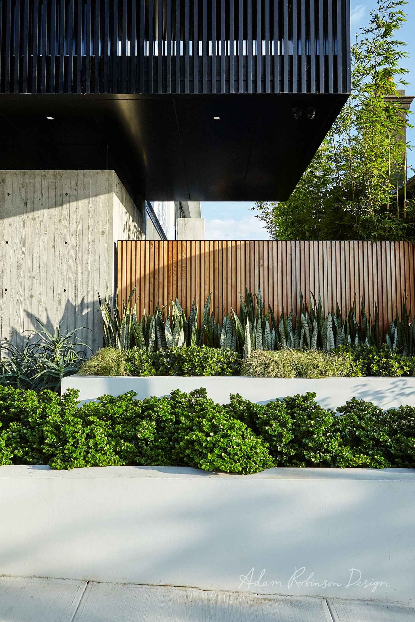 ©-Adam-Robinson-Design-Landscape-Design-Project-08-Leichhardt-09.jpg