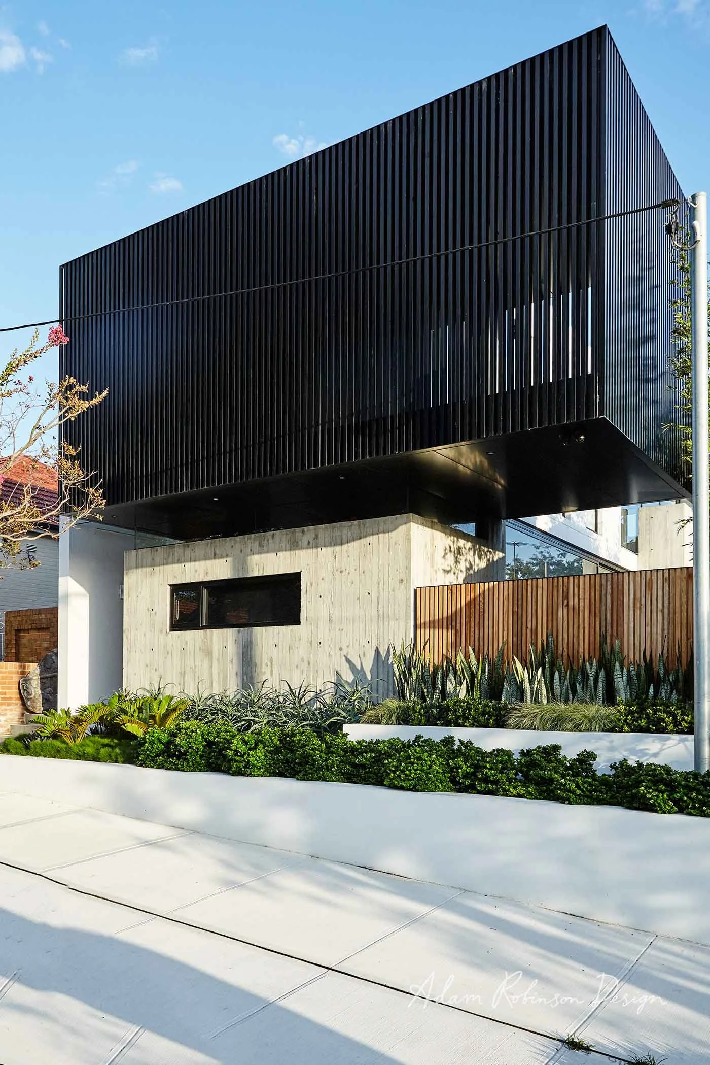 ©-Adam-Robinson-Design-Landscape-Design-Project-08-Leichhardt-10.jpg