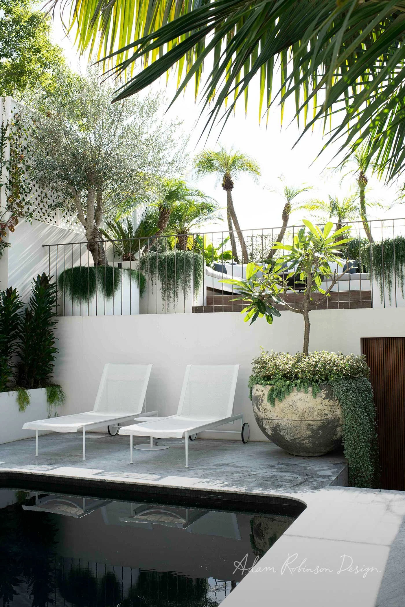 © ADAM ROBINSON DESIGN Landscape Design Sydney Paddington Terrace 07.jpg