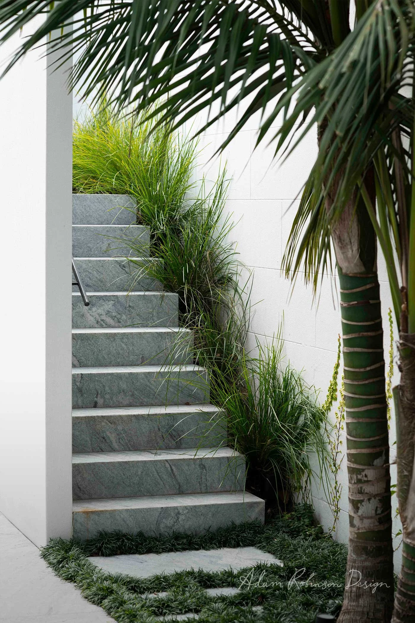 © ADAM ROBINSON DESIGN Landscape Design Sydney Paddington Terrace 012.jpg