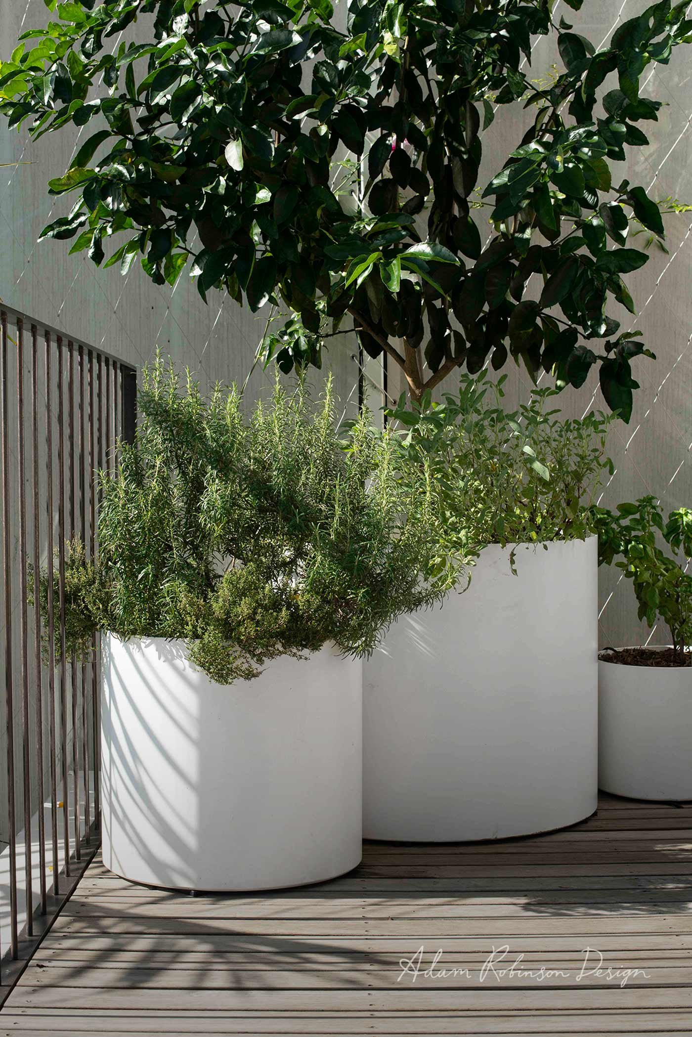 © ADAM ROBINSON DESIGN Landscape Design Sydney Paddington Terrace 017.jpg