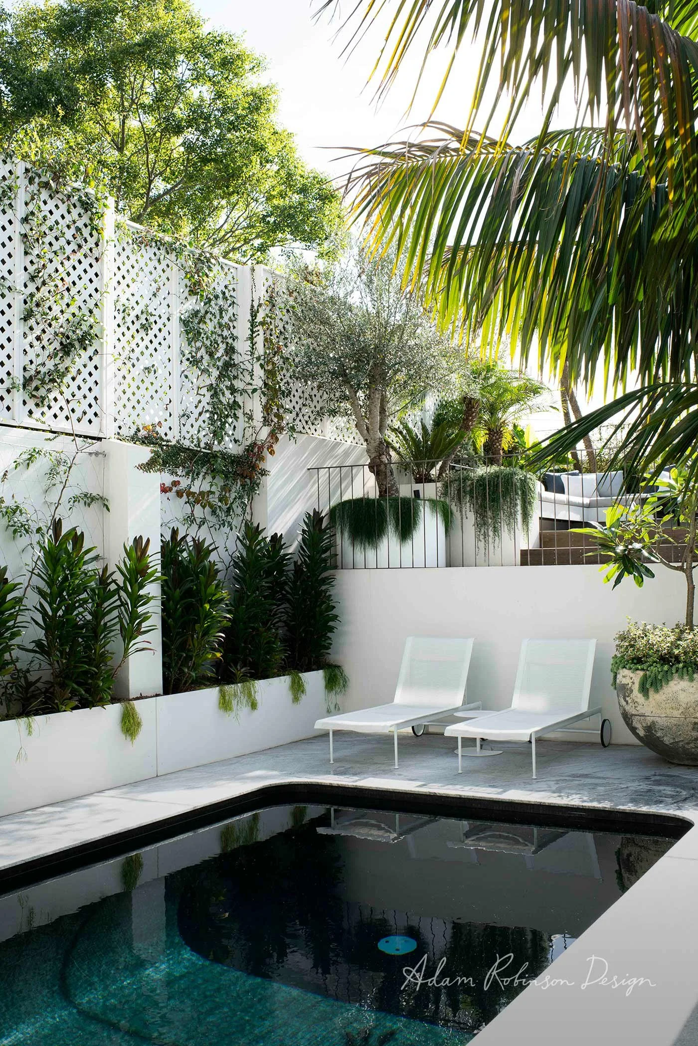 © ADAM ROBINSON DESIGN Landscape Design Sydney Paddington Terrace 022.jpg
