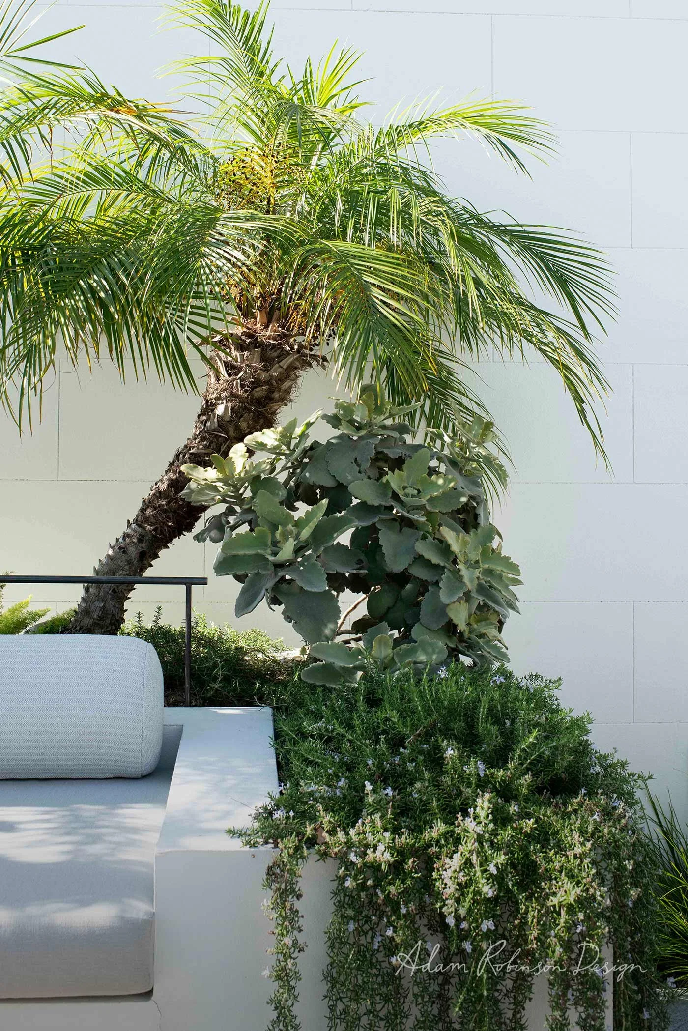 © ADAM ROBINSON DESIGN Landscape Design Sydney Paddington Terrace 023.jpg