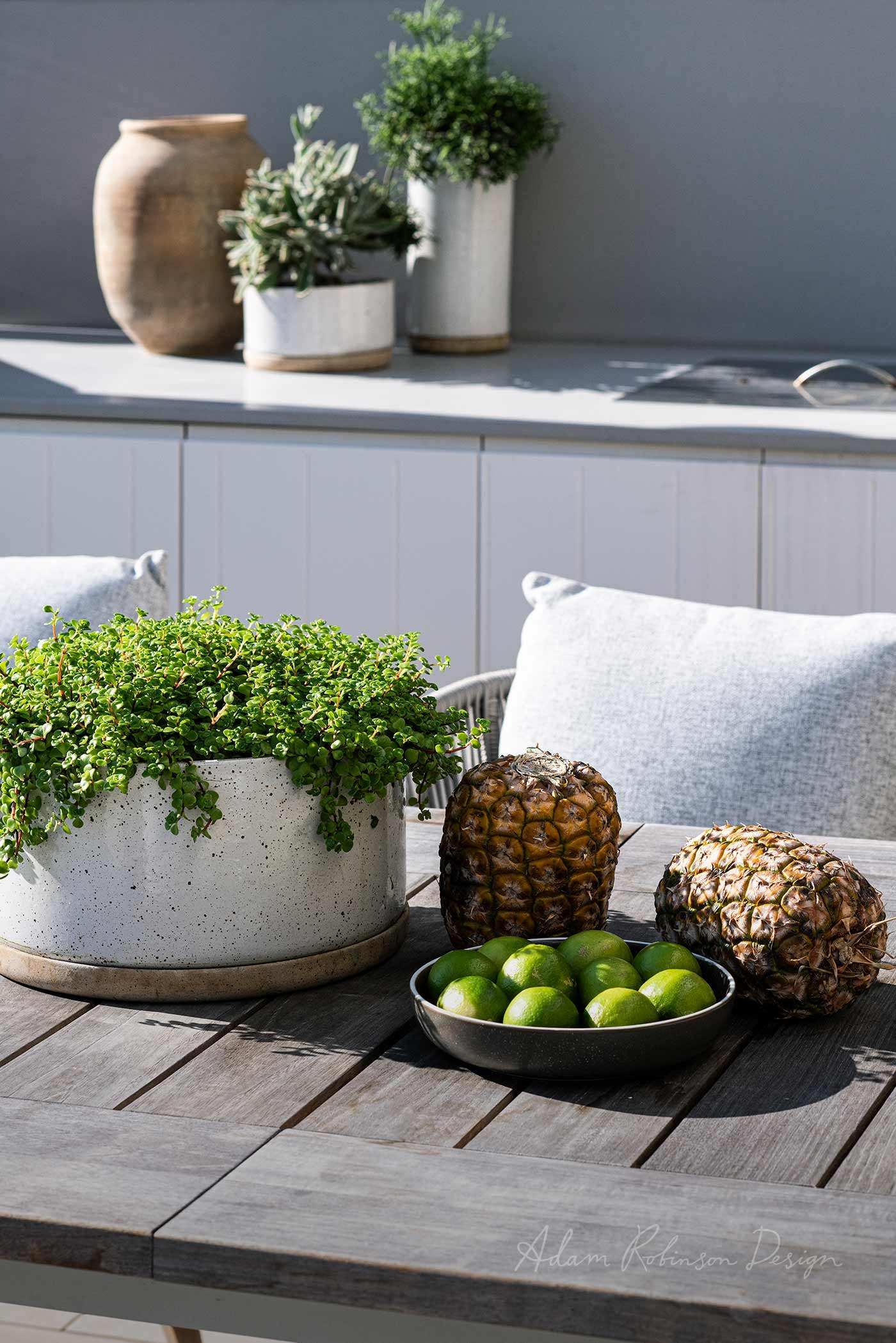 © ADAM ROBINSON DESIGN Landscape Design Sydney Woolwich 05.jpg