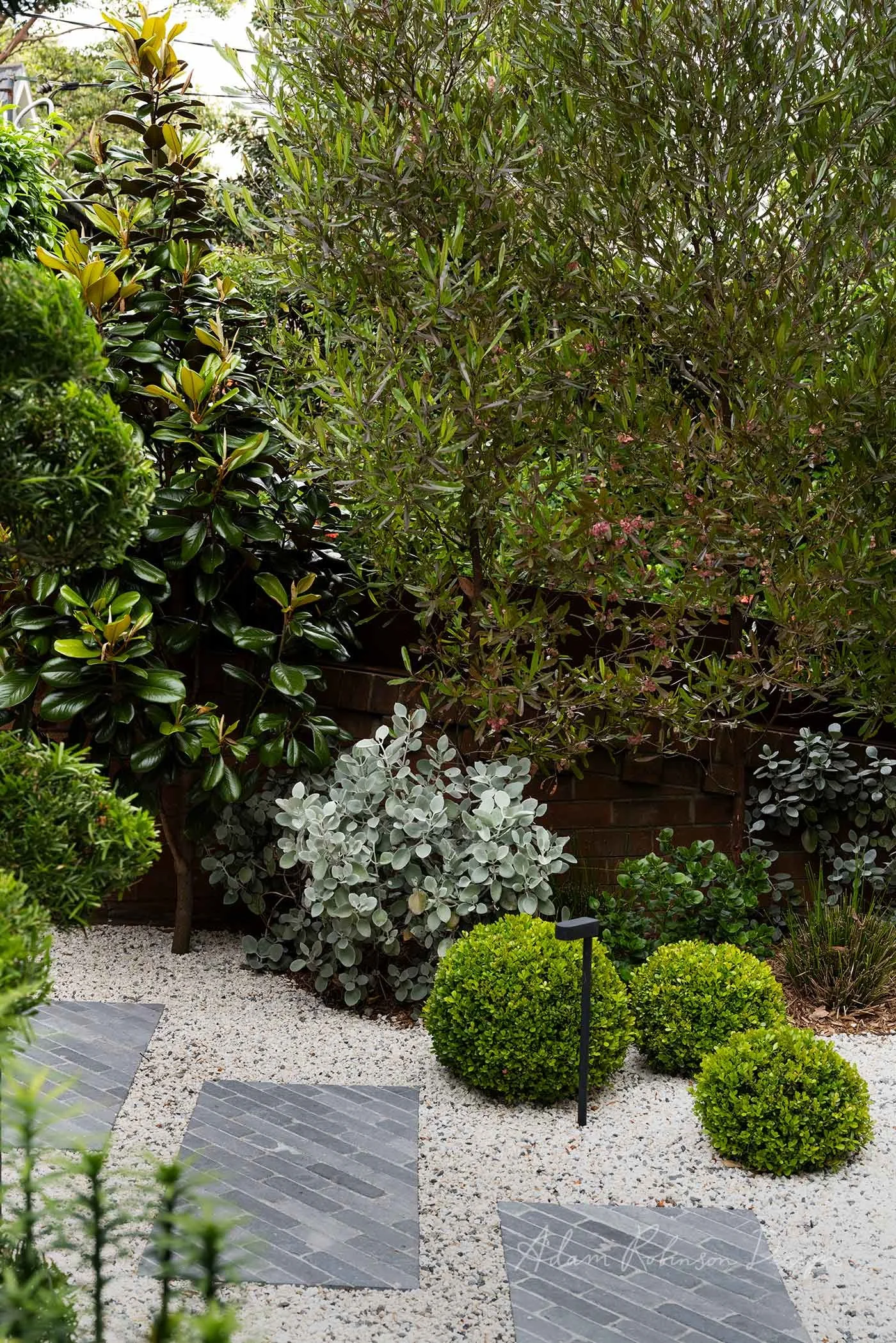 © ADAM ROBINSON DESIGN Residential Landscape Design Project QUEENS PARK 11.jpg