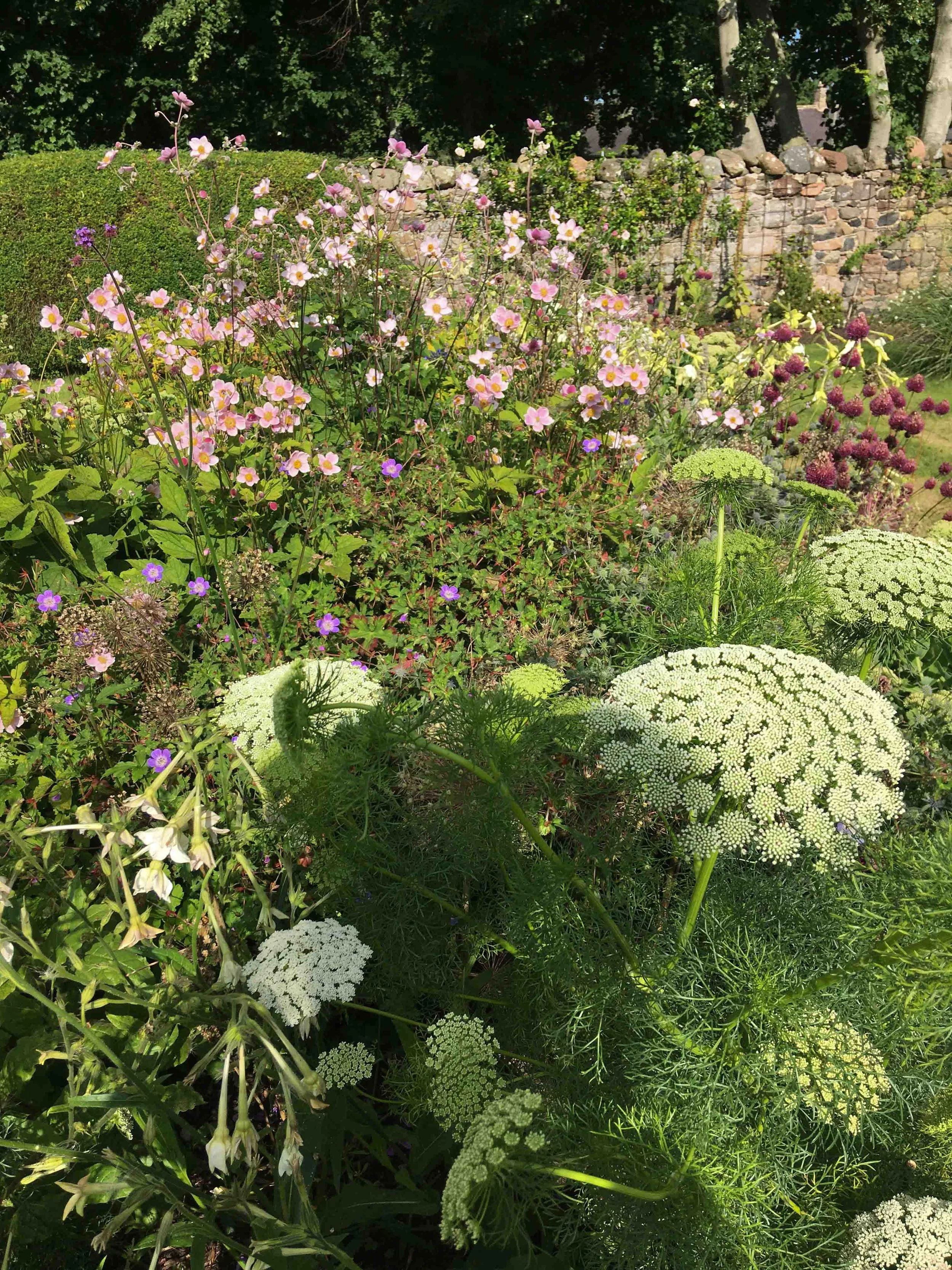 west-newton-garden-designs-clare-ryan-estate-northumberland-3042.jpg