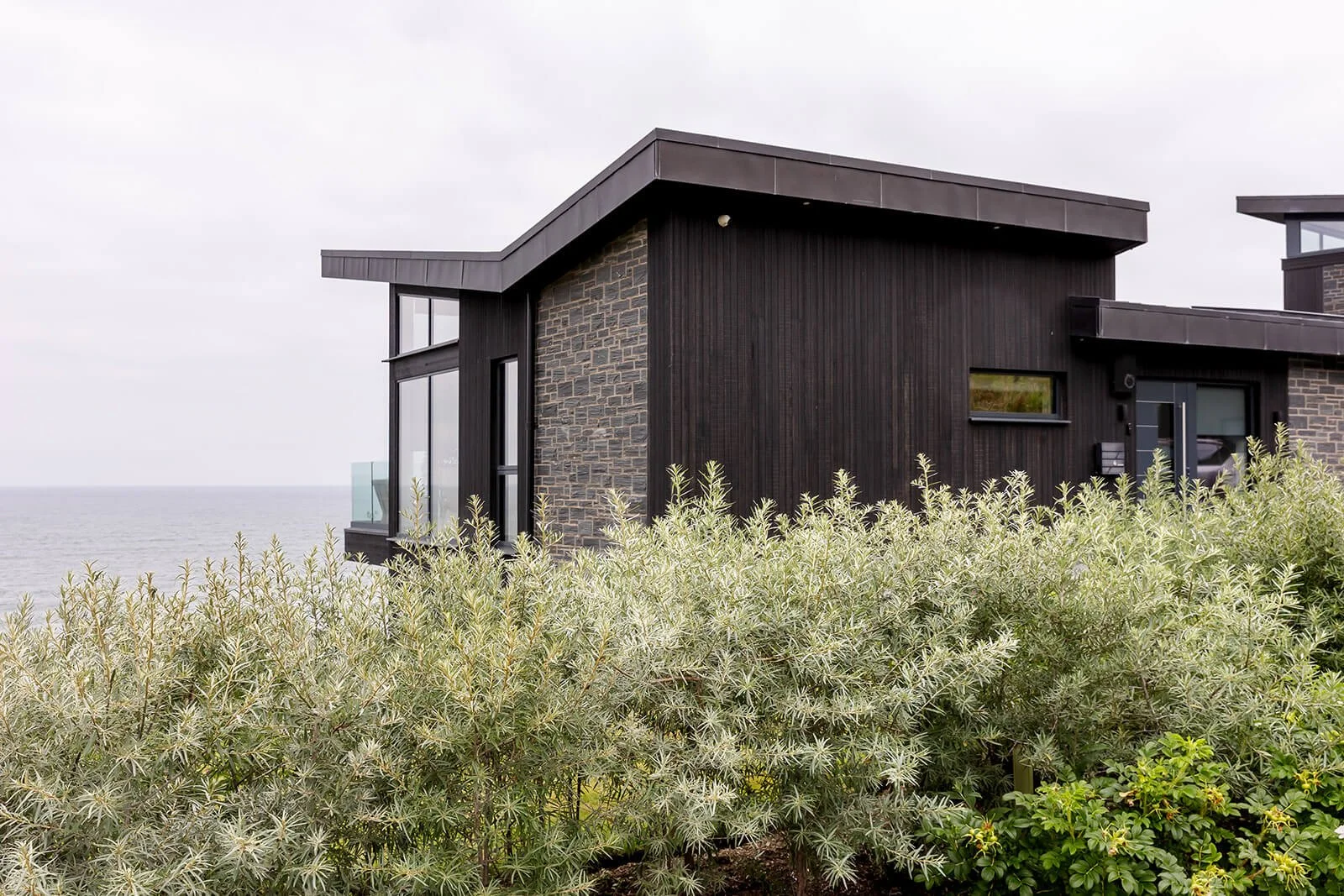 sandbank modern house showing planting outside in contrasting colour