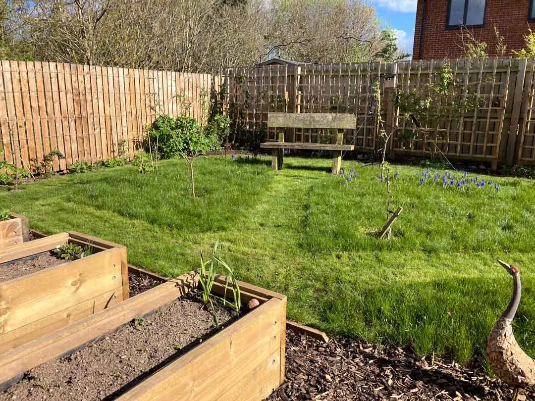 wildlife-garden-design-pond-raised-beds-vegetables-growing-19.jpg