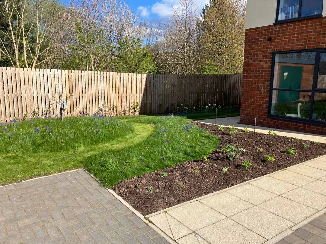 wildlife-garden-design-pond-raised-beds-vegetables-growing-16.jpg