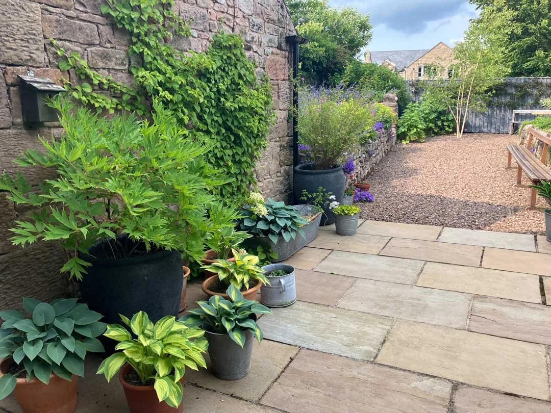courtyard-garden-history-sunny-border-woodland-roses-restoration-project-northumberland-19.jpg