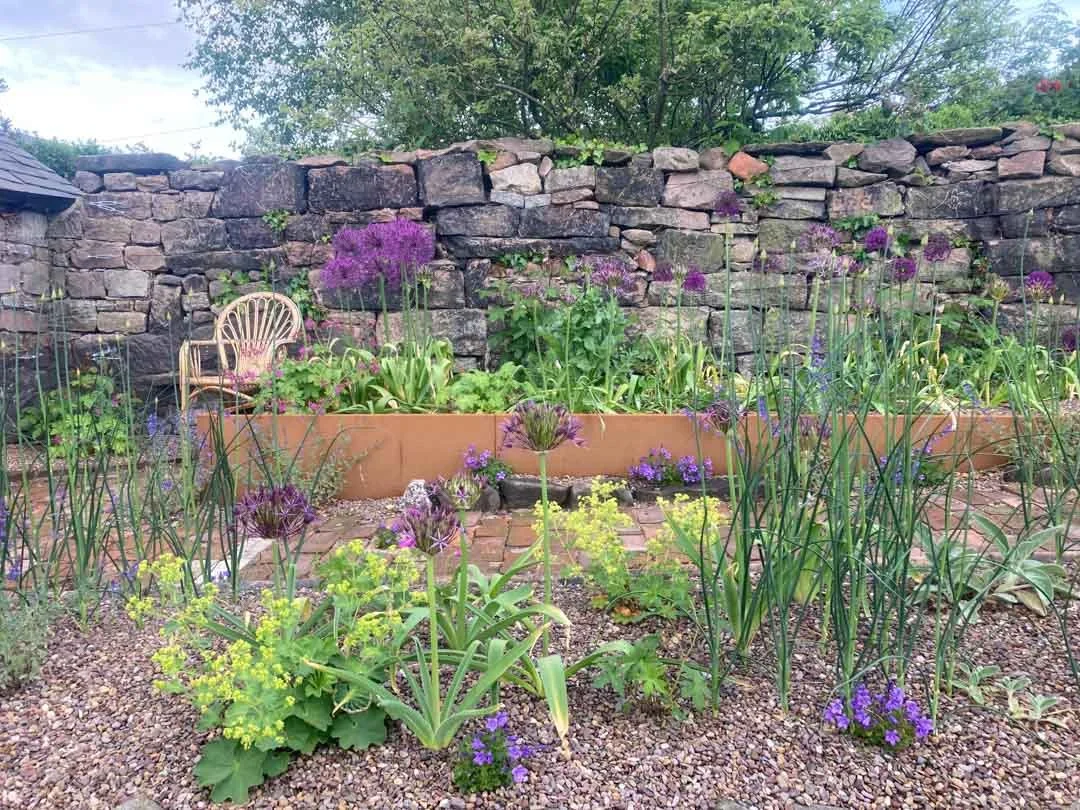 courtyard-garden-history-sunny-border-woodland-roses-restoration-project-northumberland-13.jpg