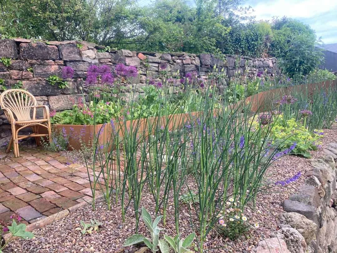 courtyard-garden-history-sunny-border-woodland-roses-restoration-project-northumberland-12.jpg