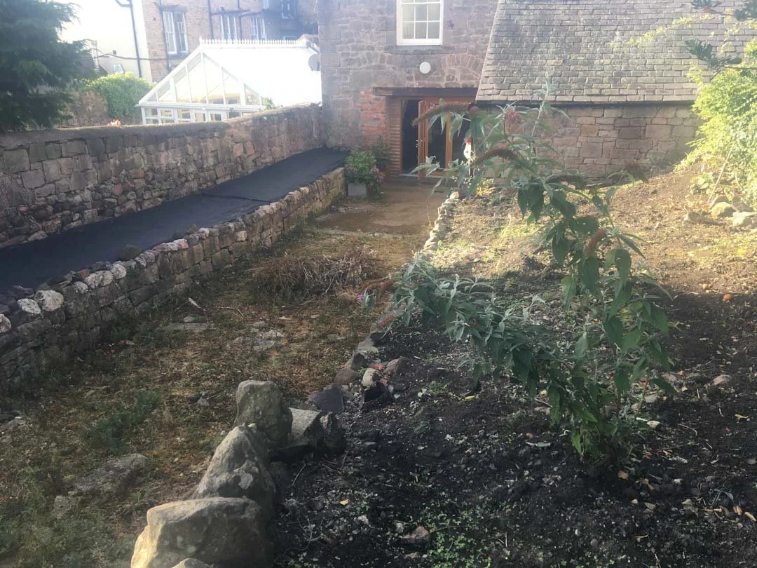 courtyard-garden-history-sunny-border-woodland-roses-restoration-project-northumberland-2.jpg