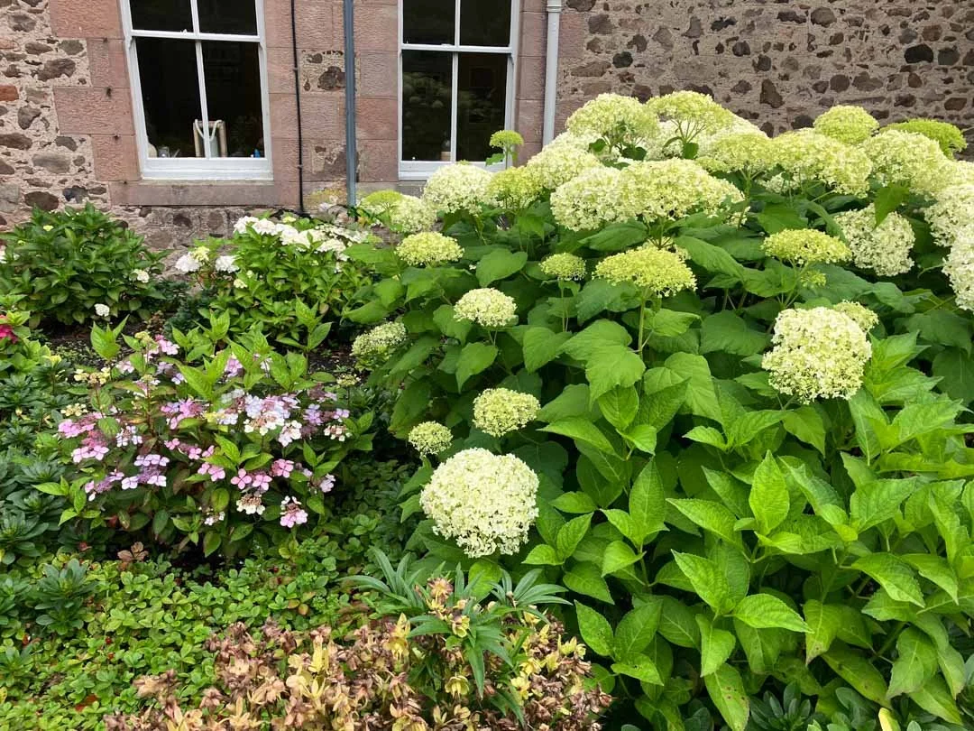 estate-garden-northumberland-cheviot-hills-cutting-flower-butterfly-woodland-rural-view-84.jpg