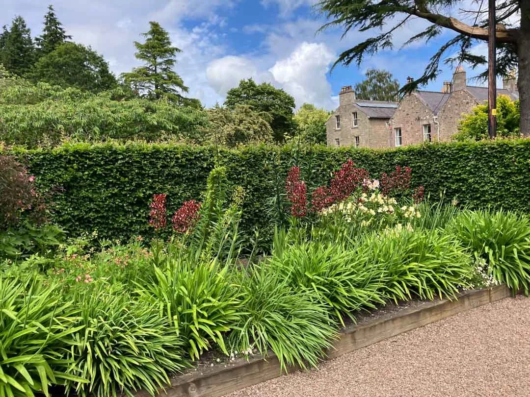 estate-garden-northumberland-cheviot-hills-cutting-flower-butterfly-woodland-rural-view-79.jpg