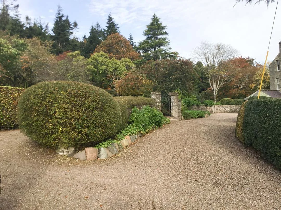 estate-garden-northumberland-cheviot-hills-cutting-flower-butterfly-woodland-rural-view-38.jpg