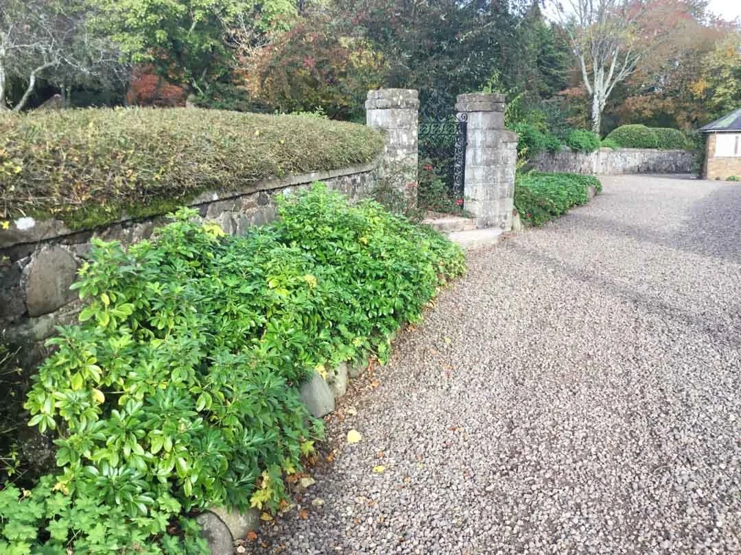 estate-garden-northumberland-cheviot-hills-cutting-flower-butterfly-woodland-rural-view-32.jpg