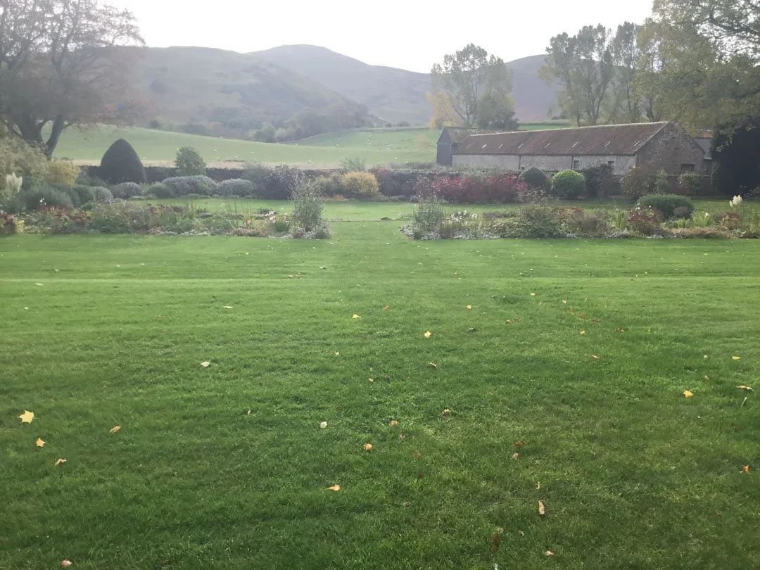 estate-garden-northumberland-cheviot-hills-cutting-flower-butterfly-woodland-rural-view-29.jpg