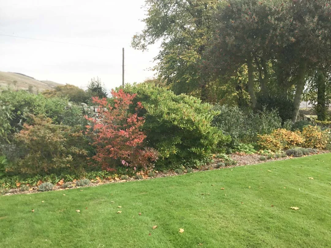 estate-garden-northumberland-cheviot-hills-cutting-flower-butterfly-woodland-rural-view-28.jpg