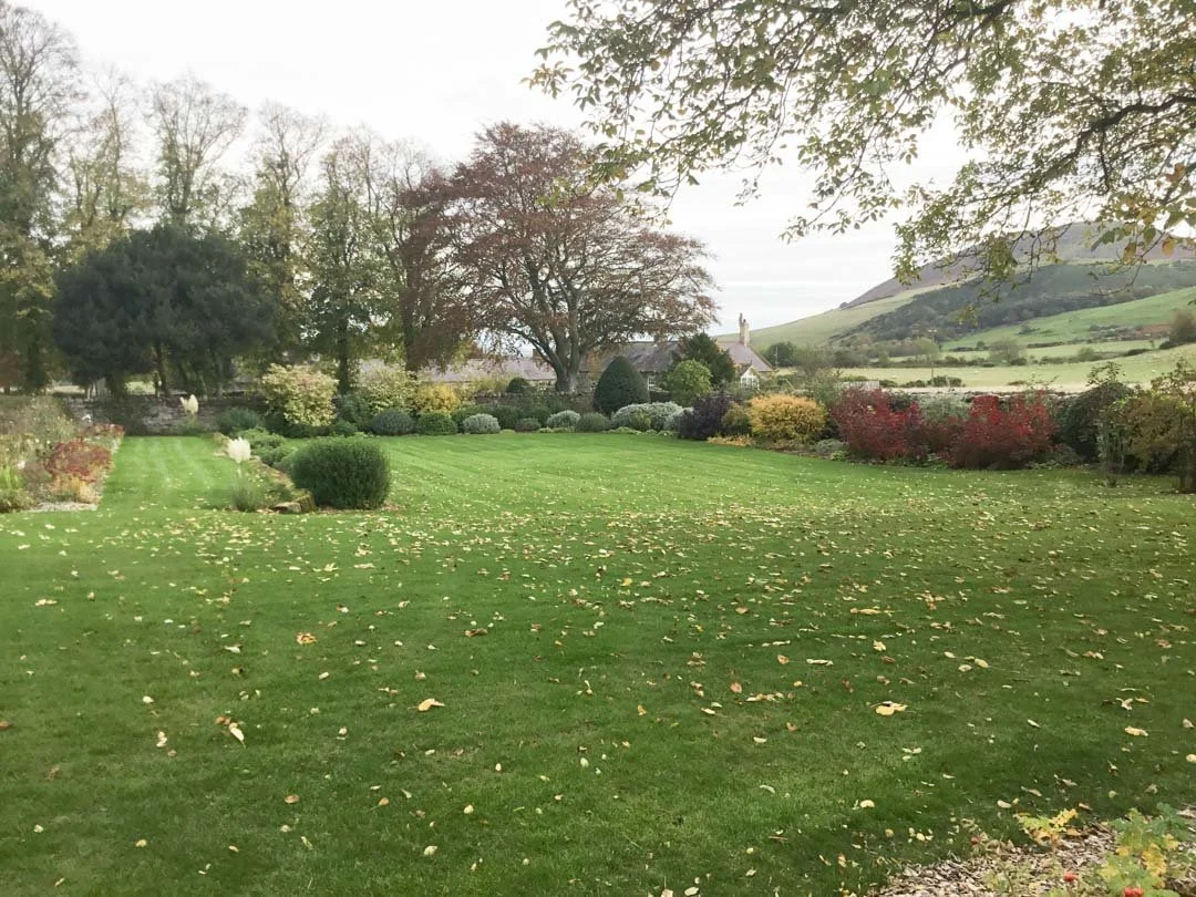 estate-garden-northumberland-cheviot-hills-cutting-flower-butterfly-woodland-rural-view-27.jpg