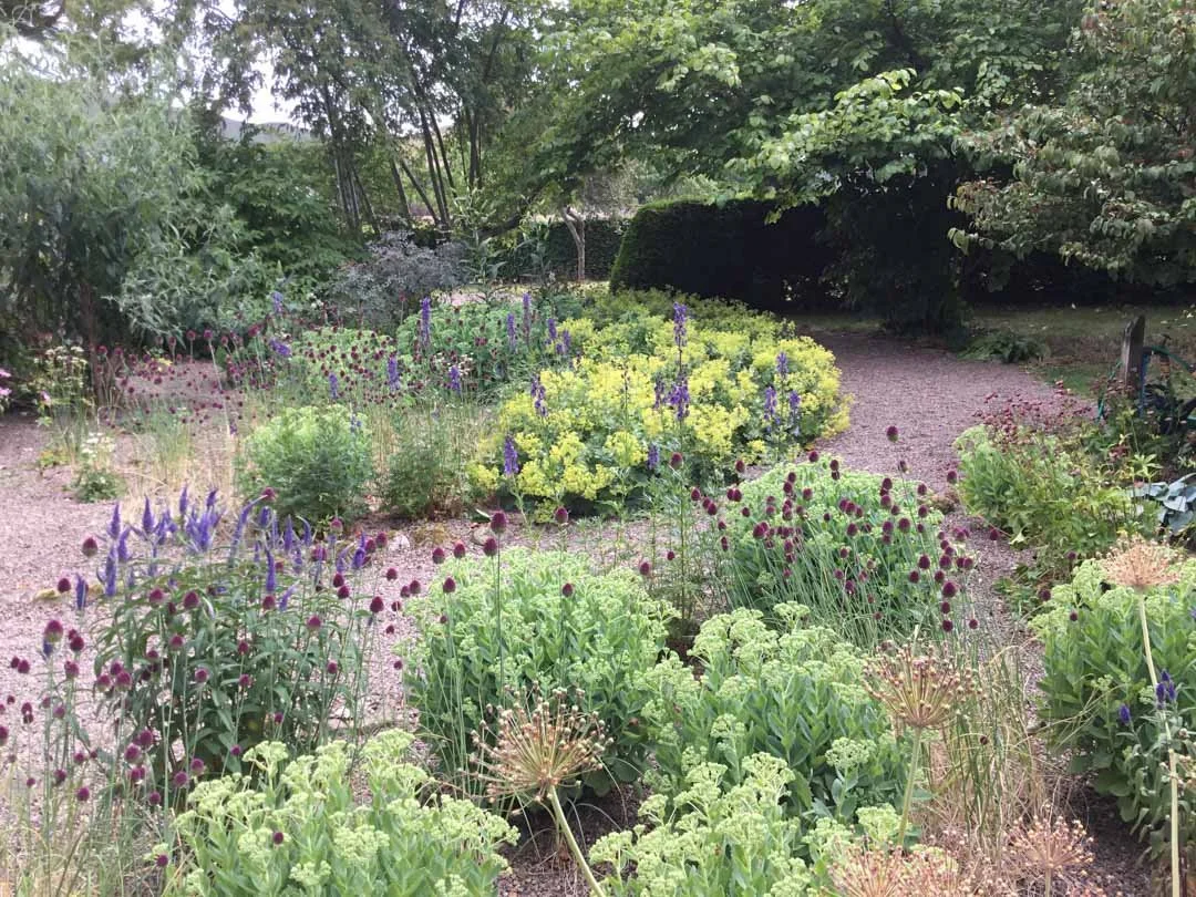 estate-garden-northumberland-cheviot-hills-cutting-flower-butterfly-woodland-rural-view-18.jpg
