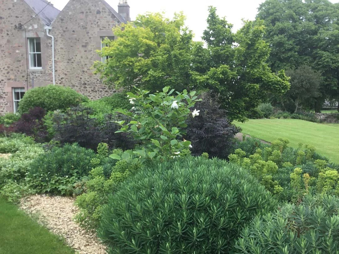 estate-garden-northumberland-cheviot-hills-cutting-flower-butterfly-woodland-rural-view-12.jpg