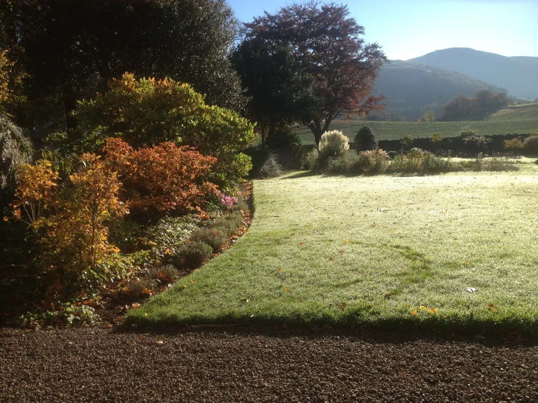estate-garden-northumberland-cheviot-hills-cutting-flower-butterfly-woodland-rural-view-2.jpg